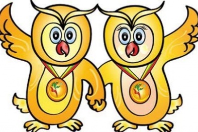 Tổng hợp các môn thi đấu của SEA Games 27